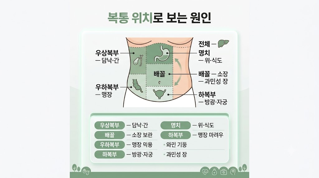 복통 위치 원인 인포그래픽