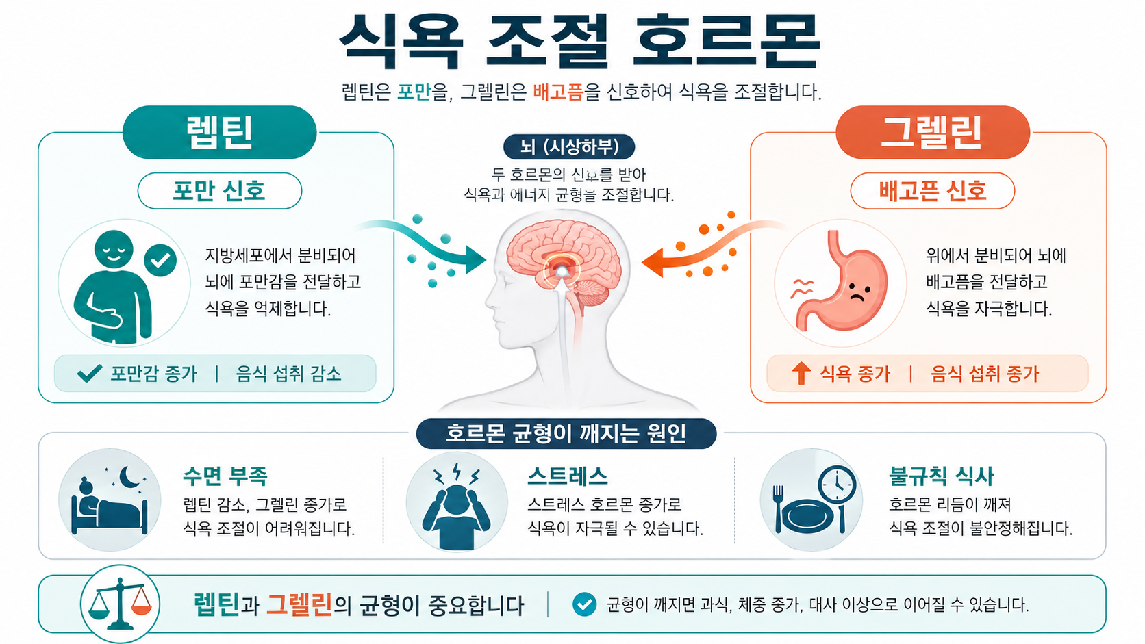 식욕 호르몬 인포그래픽