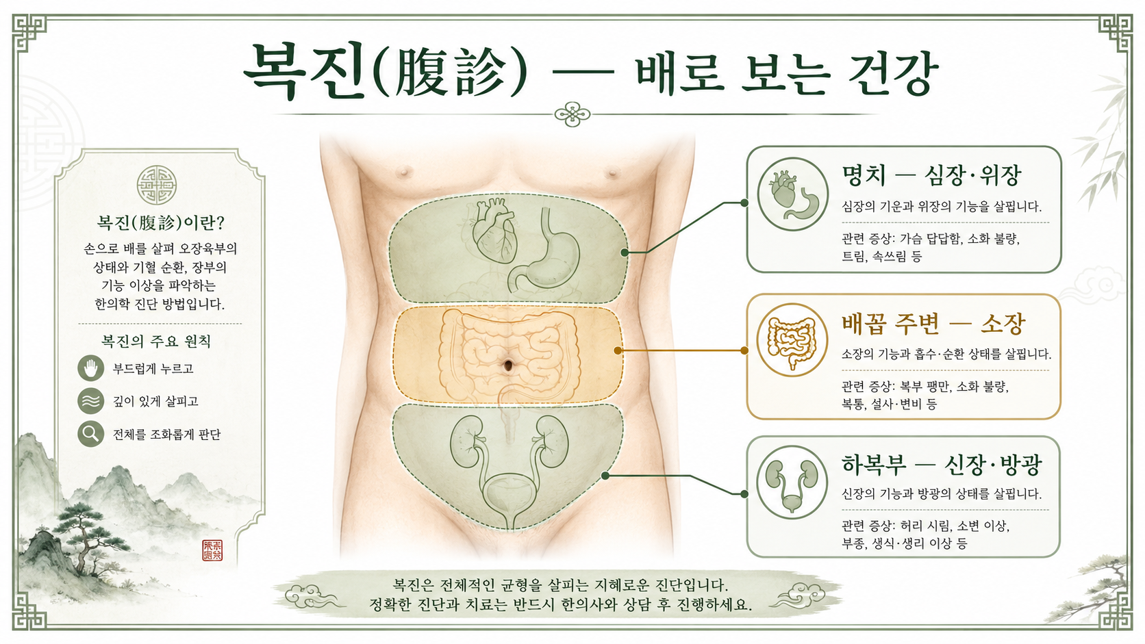복진 인포그래픽