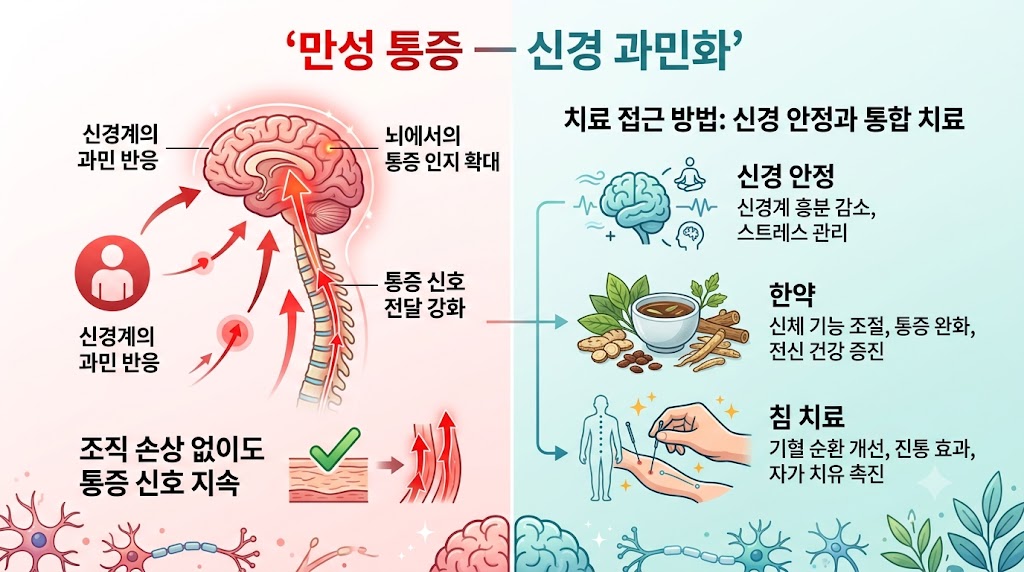 중추 감작 인포그래픽