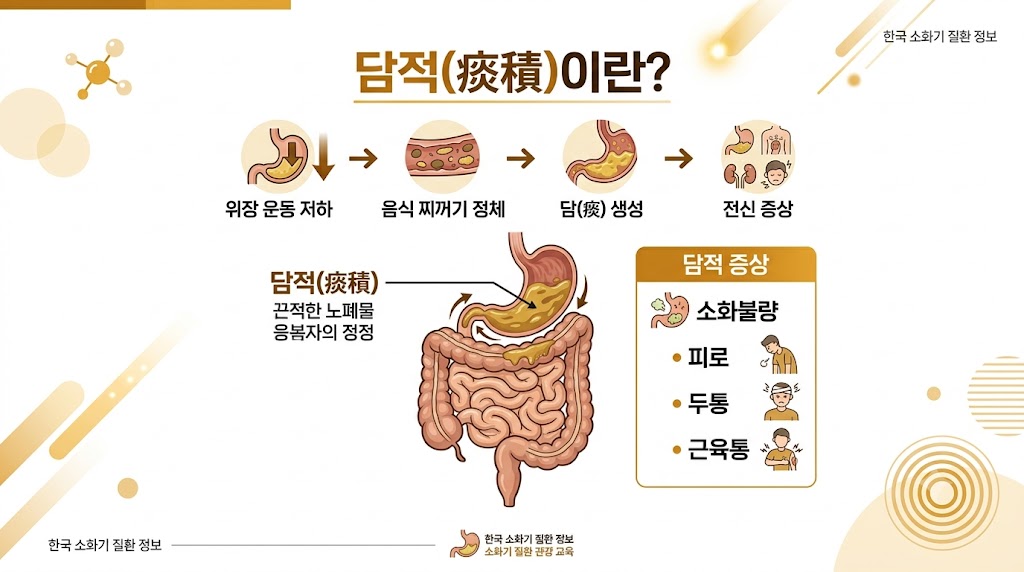 담적 인포그래픽