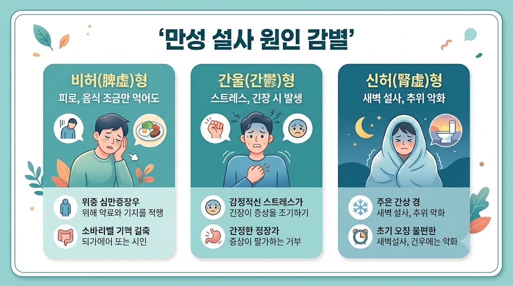 설사 원인 치료 인포그래픽