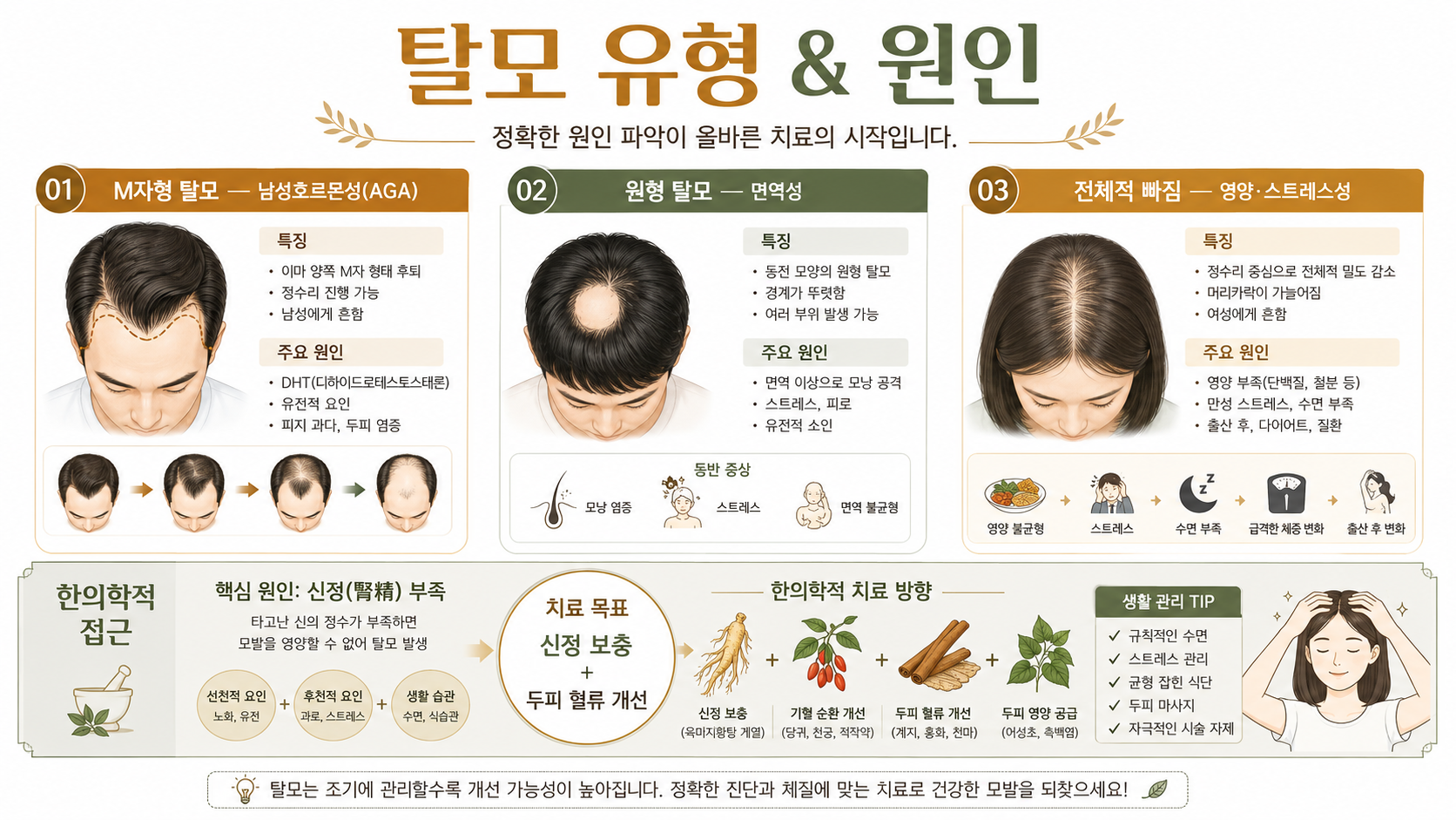 남성 탈모 인포그래픽