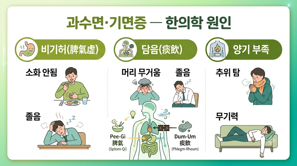 과수면 기허 인포그래픽