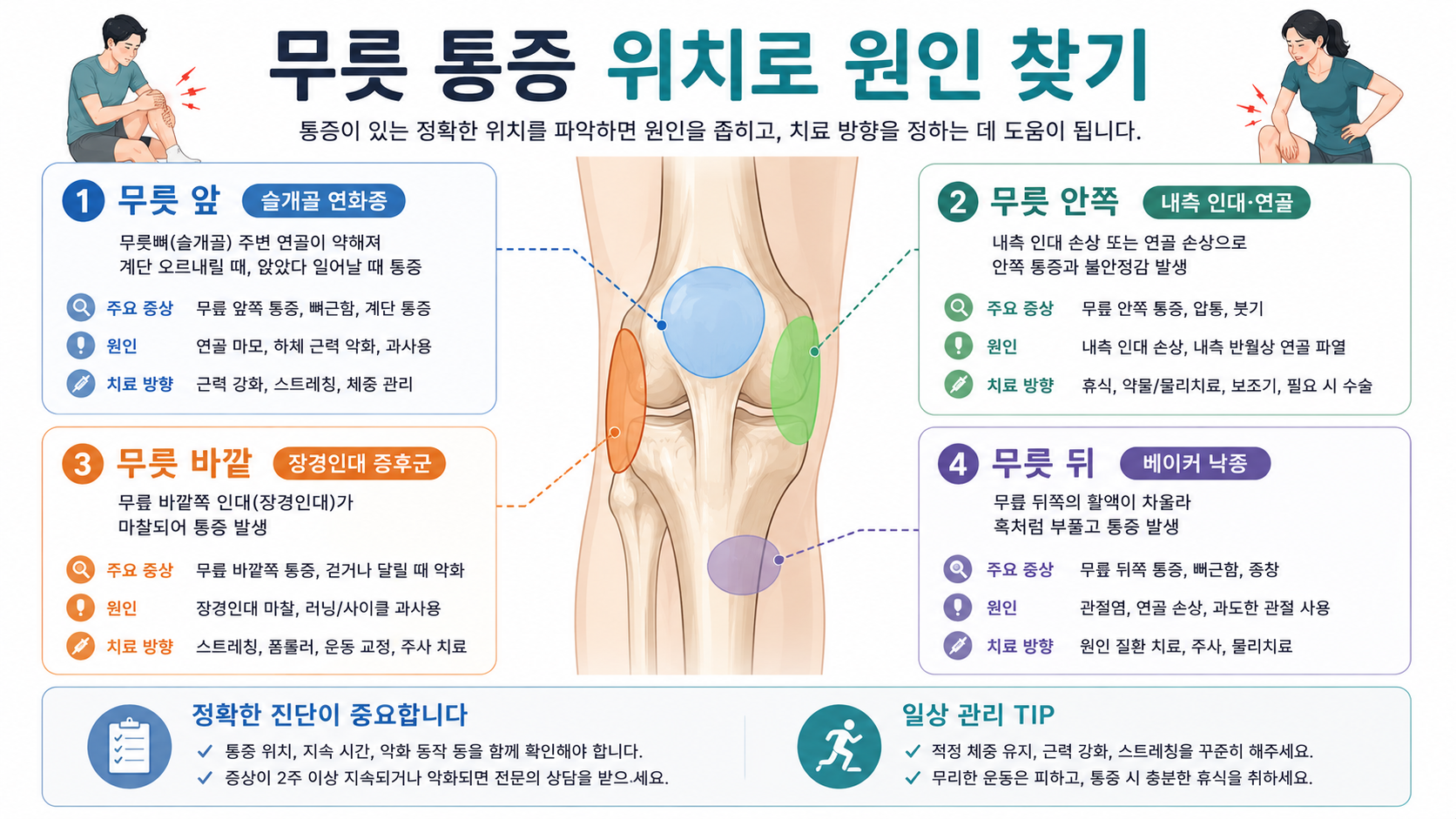 무릎 통증 인포그래픽