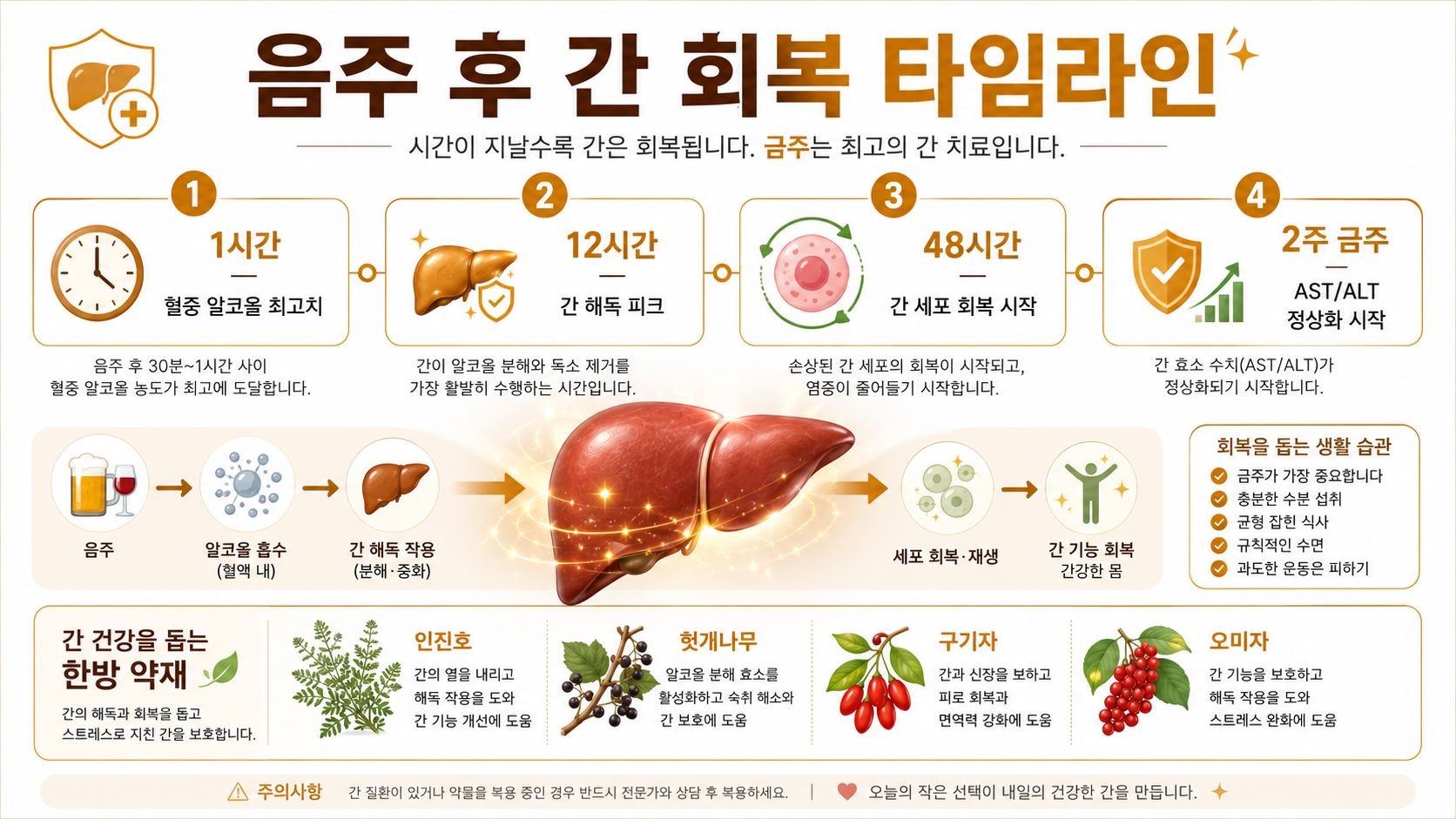 음주 간 건강 인포그래픽