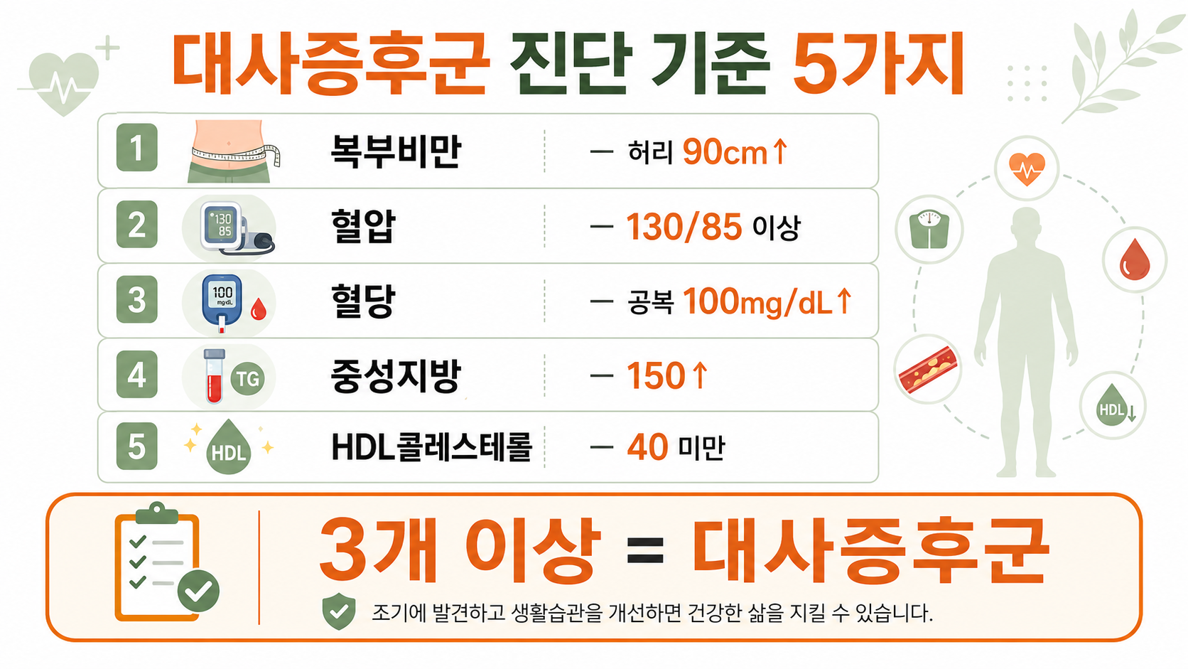 남성 복부지방 대사증후군 인포그래픽