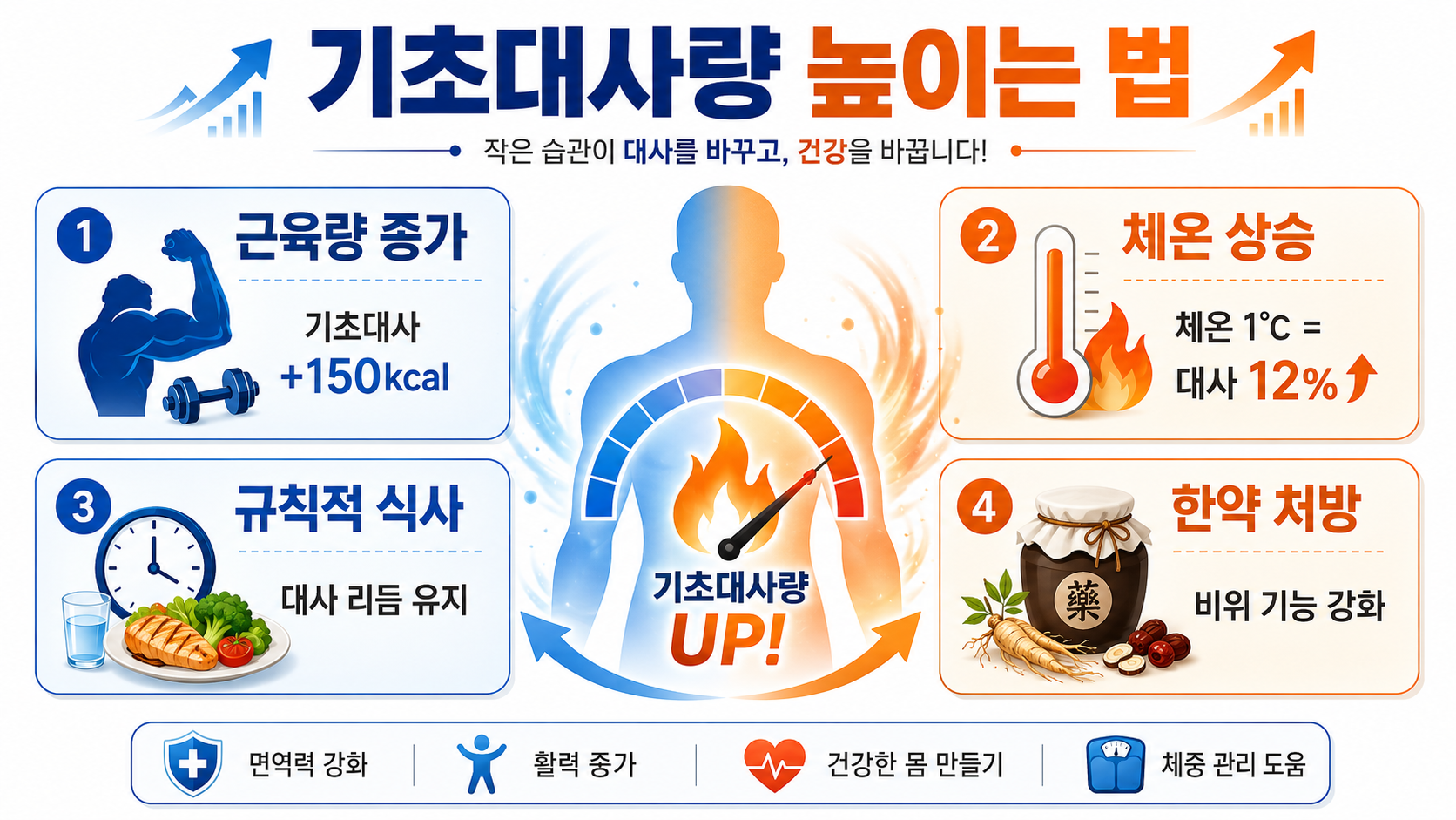 기초대사량 인포그래픽
