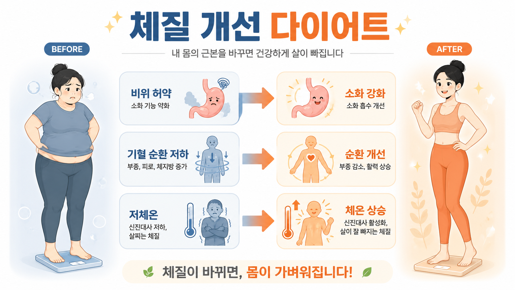대사 체질 인포그래픽