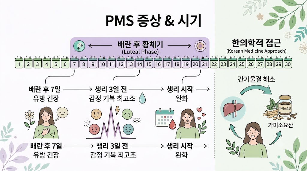 PMS 월경 전 증후군 인포그래픽