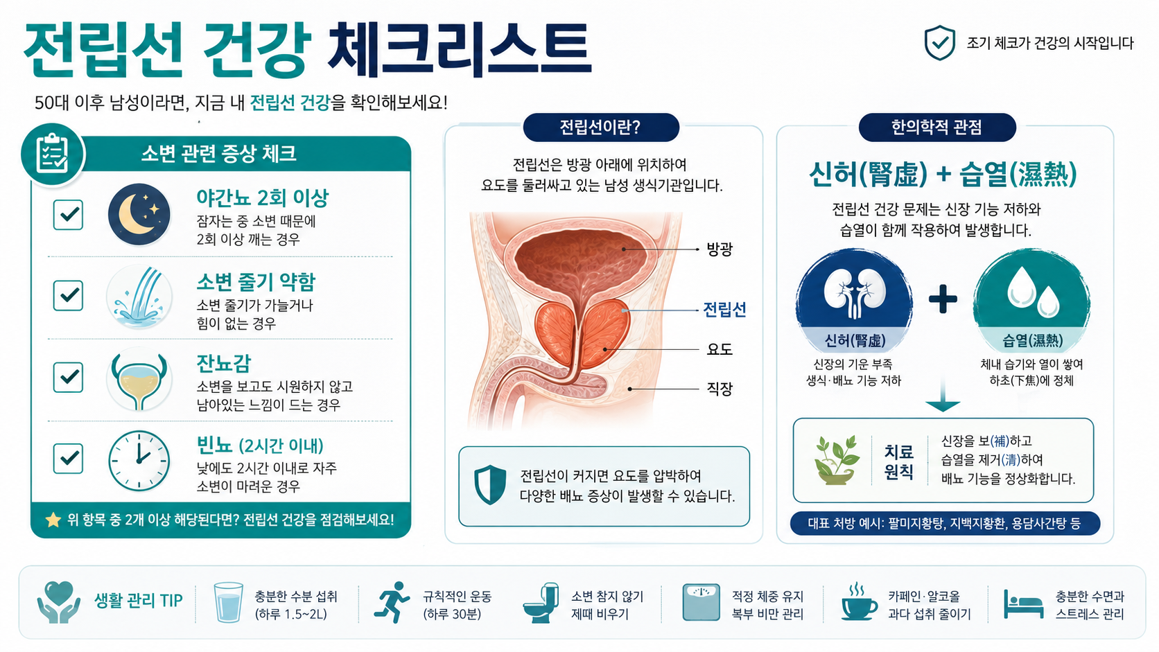 전립선 건강 인포그래픽
