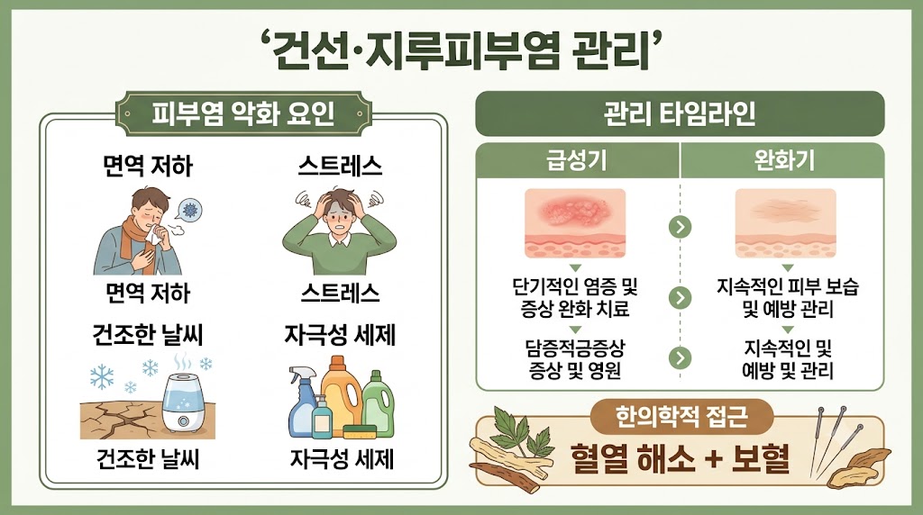 건선 지루성 피부염 인포그래픽