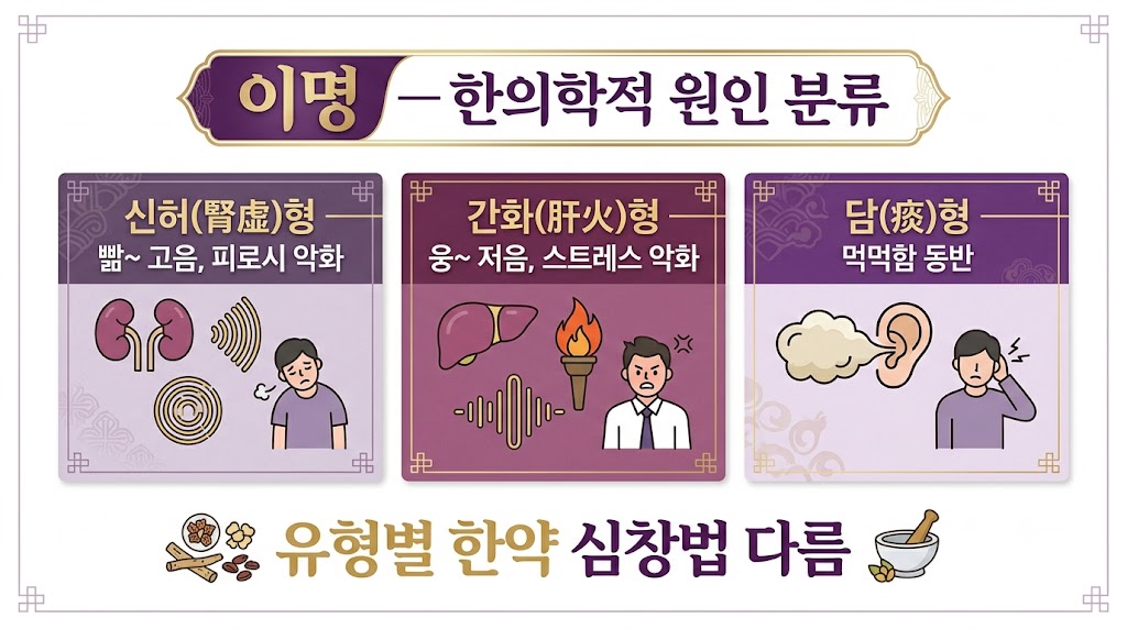 이명 치료 인포그래픽