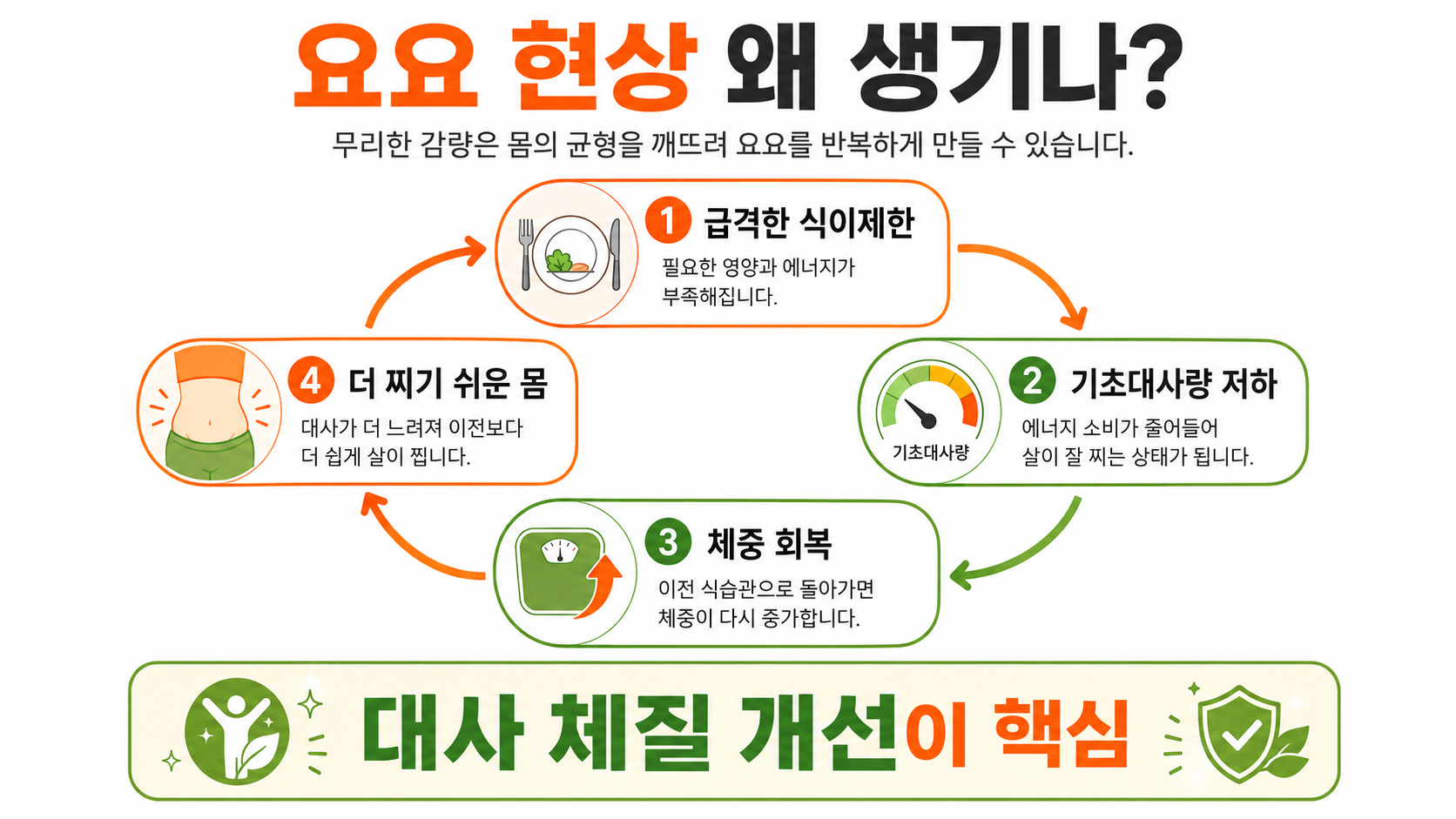 요요 다이어트 인포그래픽