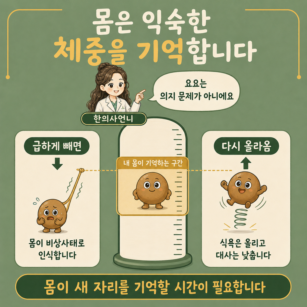 인천송도 더율한의원 세트 포인트 설명 - 몸이 기억하는 체중 구간