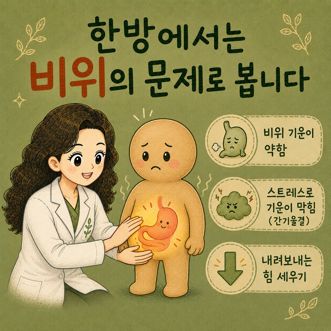 인천송도 더율한의원 한방에서 보는 기능성 소화불량 - 비위 간기울결