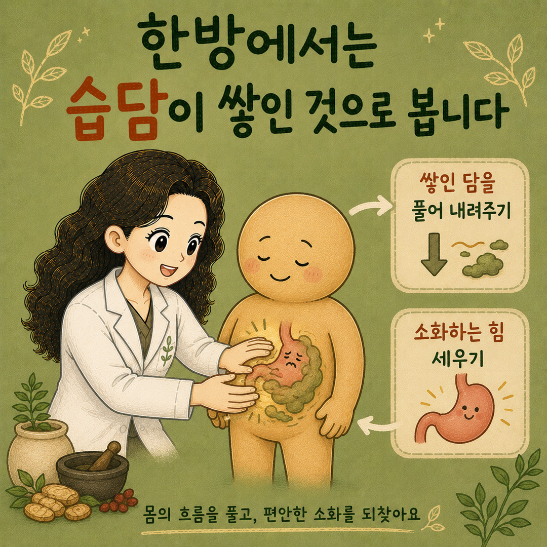 인천송도 더율한의원 한방에서 보는 담적 - 습담 비위 기울