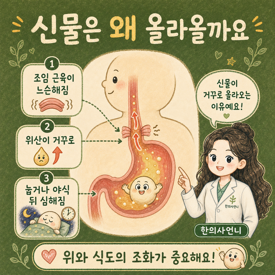 인천송도 더율한의원 역류성 식도염 - 신물 목이물감 가슴쓰림