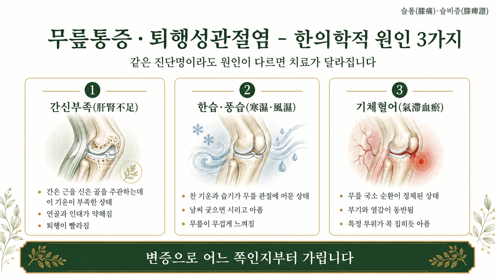 인천송도 더율한의원 무릎통증·퇴행성관절염 한의학적 원인 인포그래픽