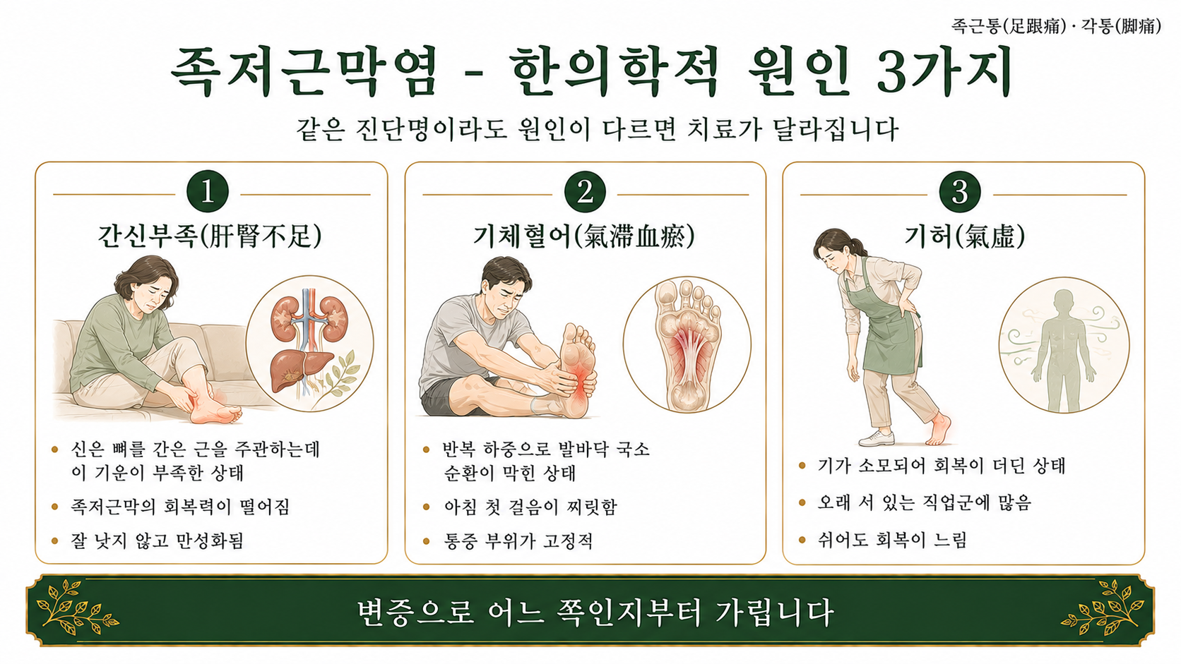 인천송도 더율한의원 족저근막염 한의학적 원인 인포그래픽
