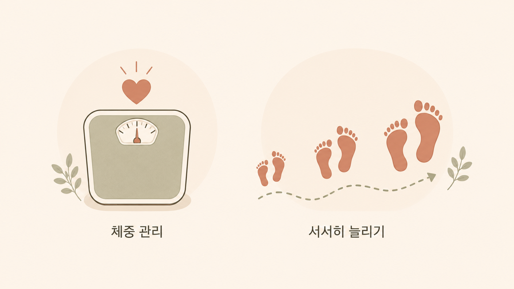 체중 관리와 점진적 운동