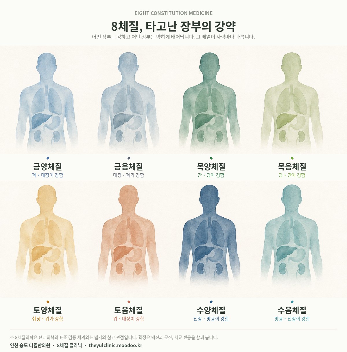 8체질 분류도 — 금양·금음·목양·목음·토양·토음·수양·수음 체질별 강한 장부