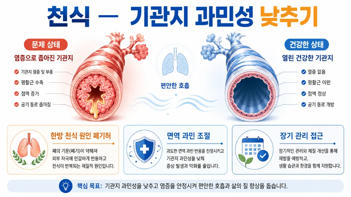 천식 한방 치료 인포그래픽