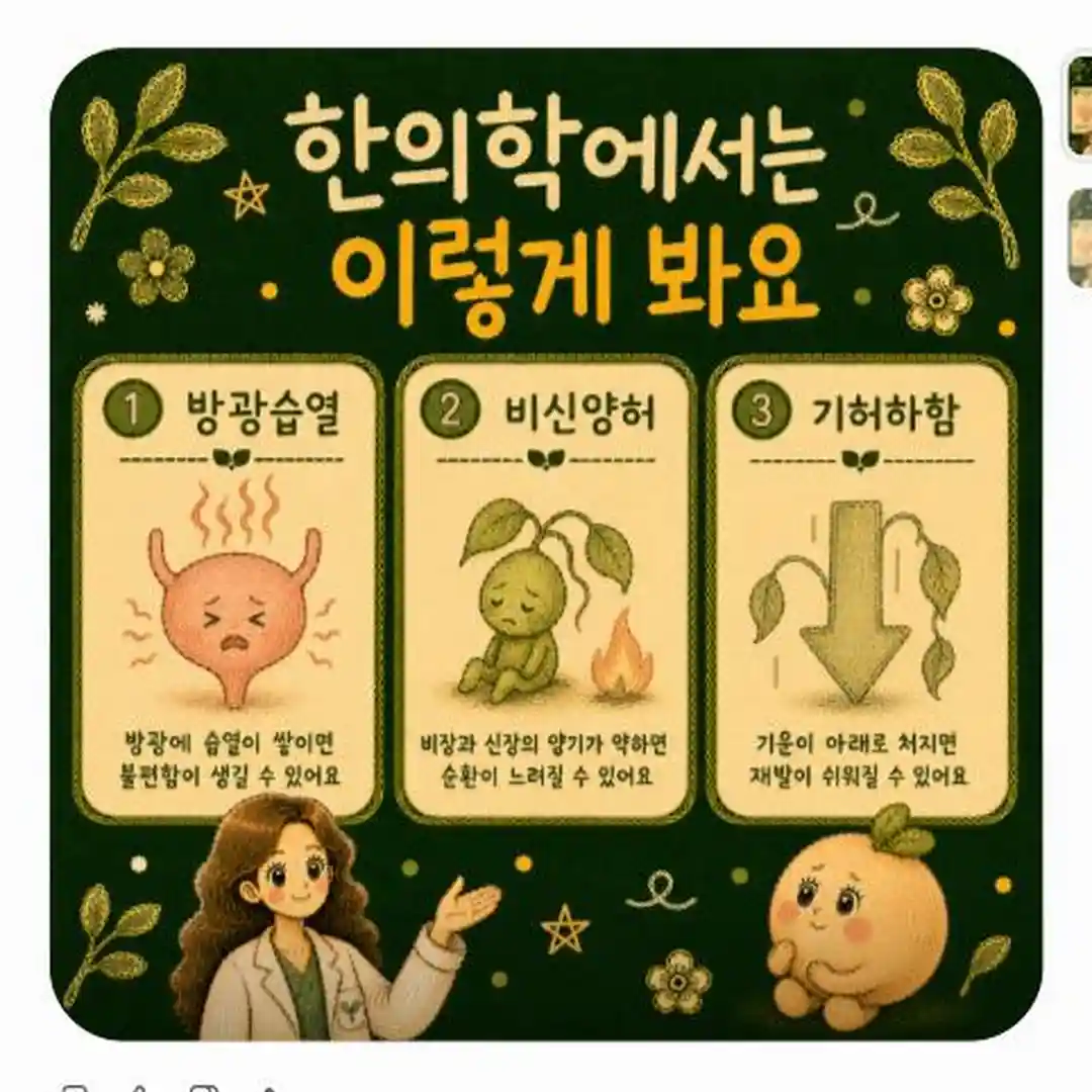 방광염 상담 - 인천 송도 더율한의원