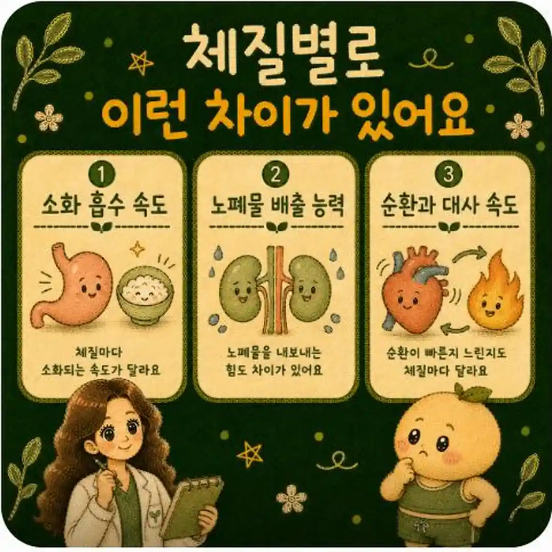 체질과 체중 관리 상담 - 인천 송도 더율한의원