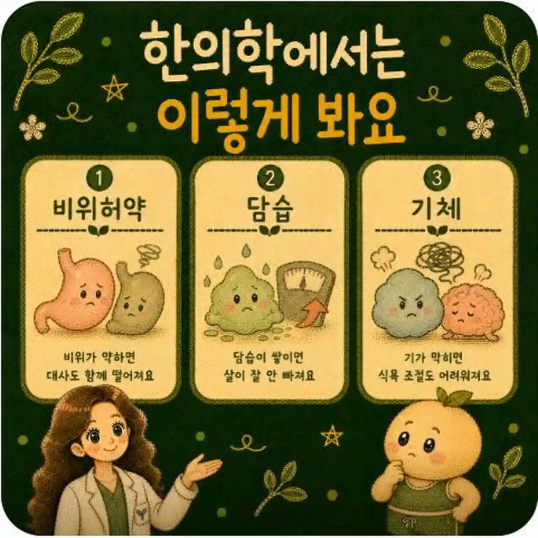 약 없이 하는 다이어트 상담 - 인천 송도 더율한의원