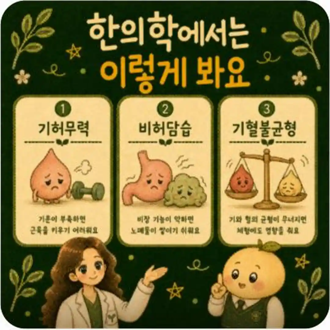 마른비만 상담 - 인천 송도 더율한의원
