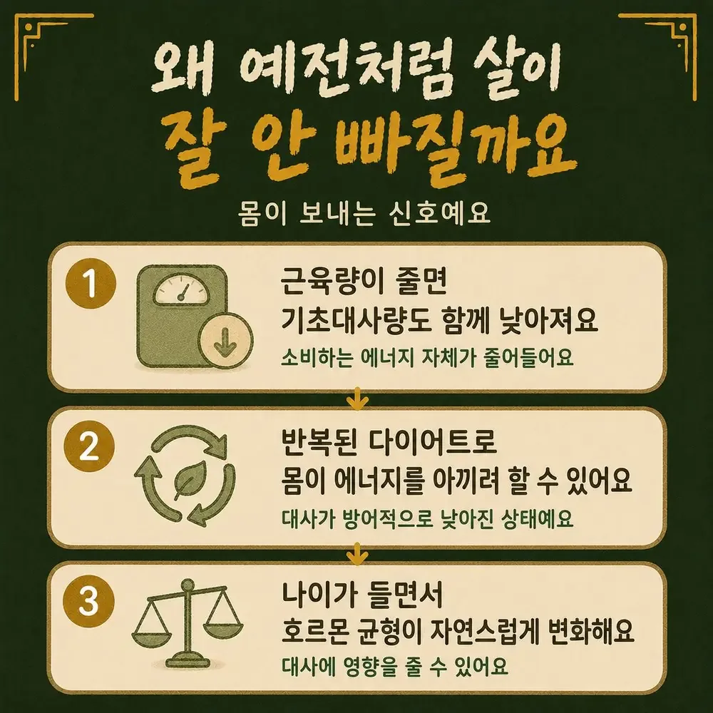 기초대사량과 체중 상담 - 인천 송도 더율한의원