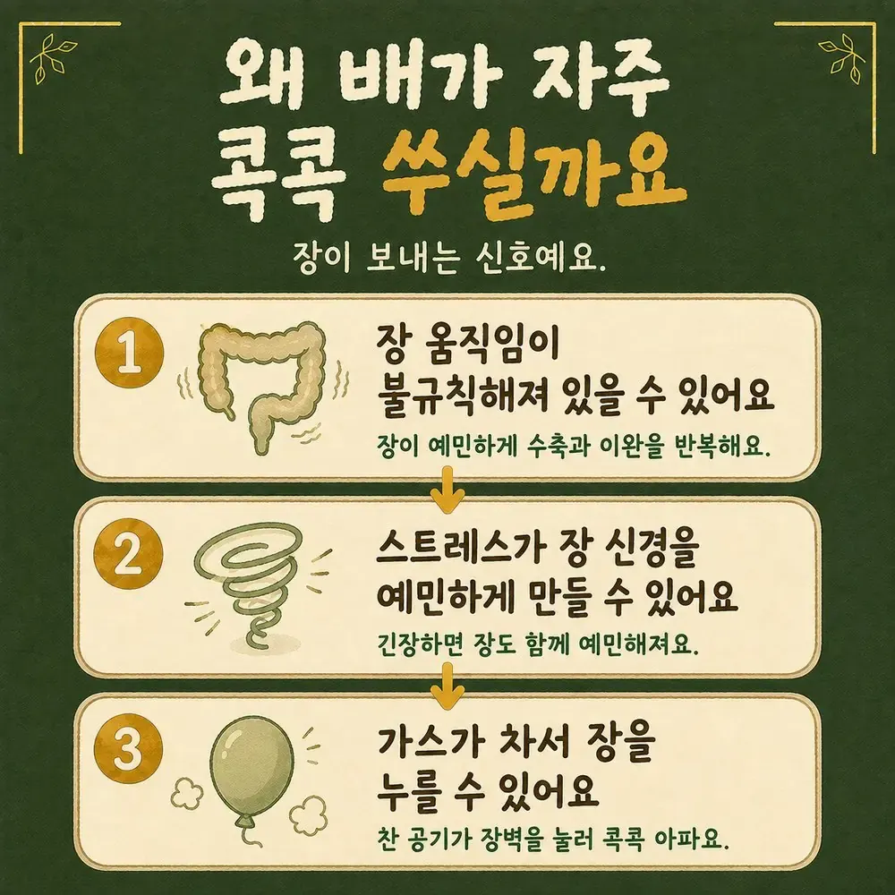 쥐어짜는 복통 상담 - 인천 송도 더율한의원