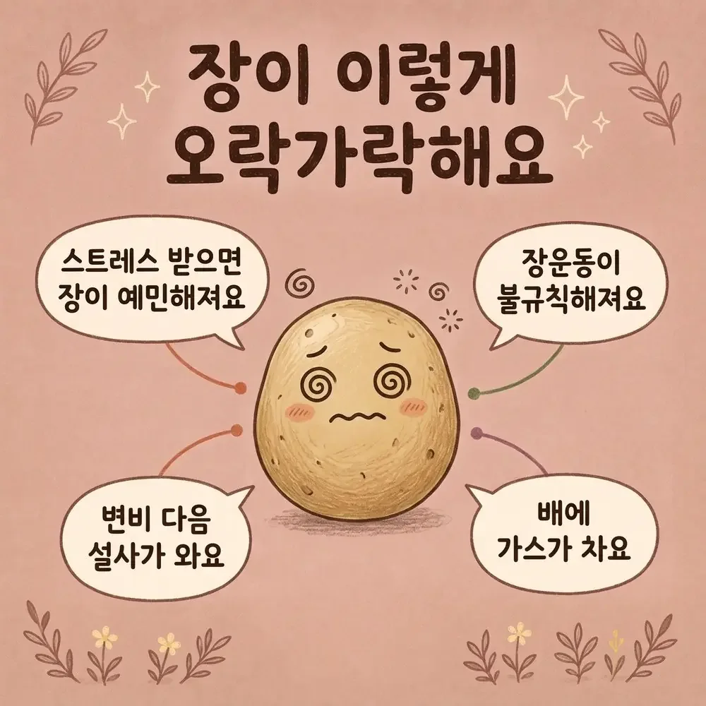 변비 설사 반복 상담 - 인천 송도 더율한의원