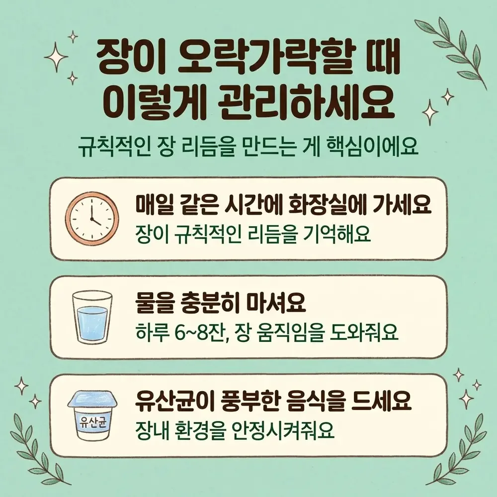 변비 설사 반복 상담 - 인천 송도 더율한의원