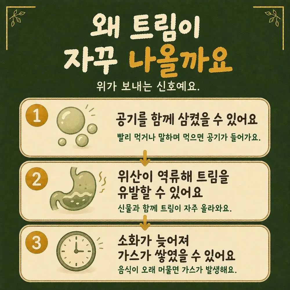 잦은 트림 한방치료 - 인천 송도 더율한의원