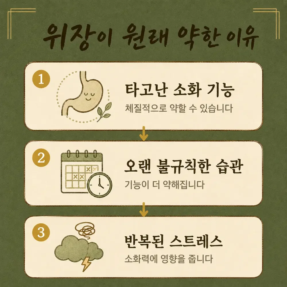속이 약한 체질 한방치료 - 인천 송도 더율한의원