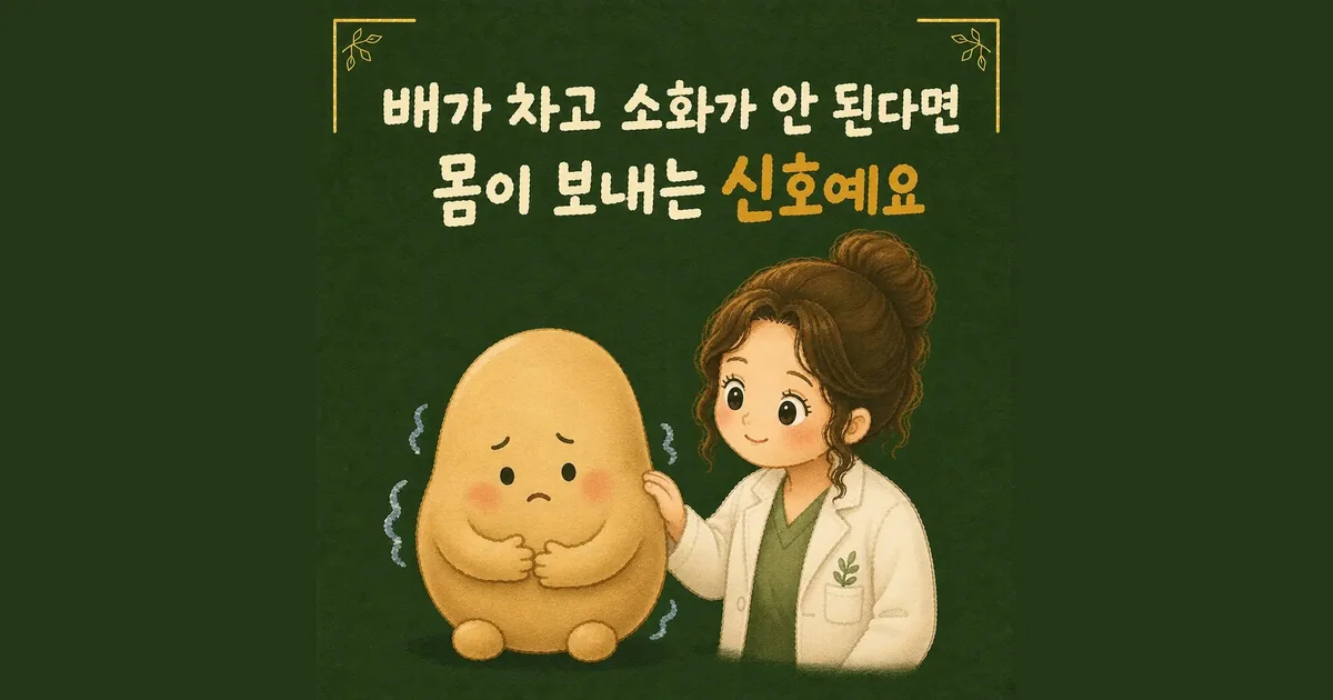 배가 찬 증상 한방치료 - 인천 송도 더율한의원