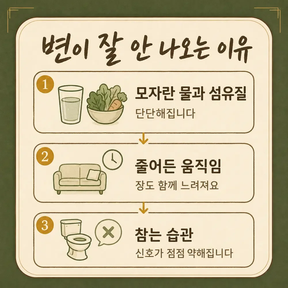 만성 변비 상담 - 인천 송도 더율한의원