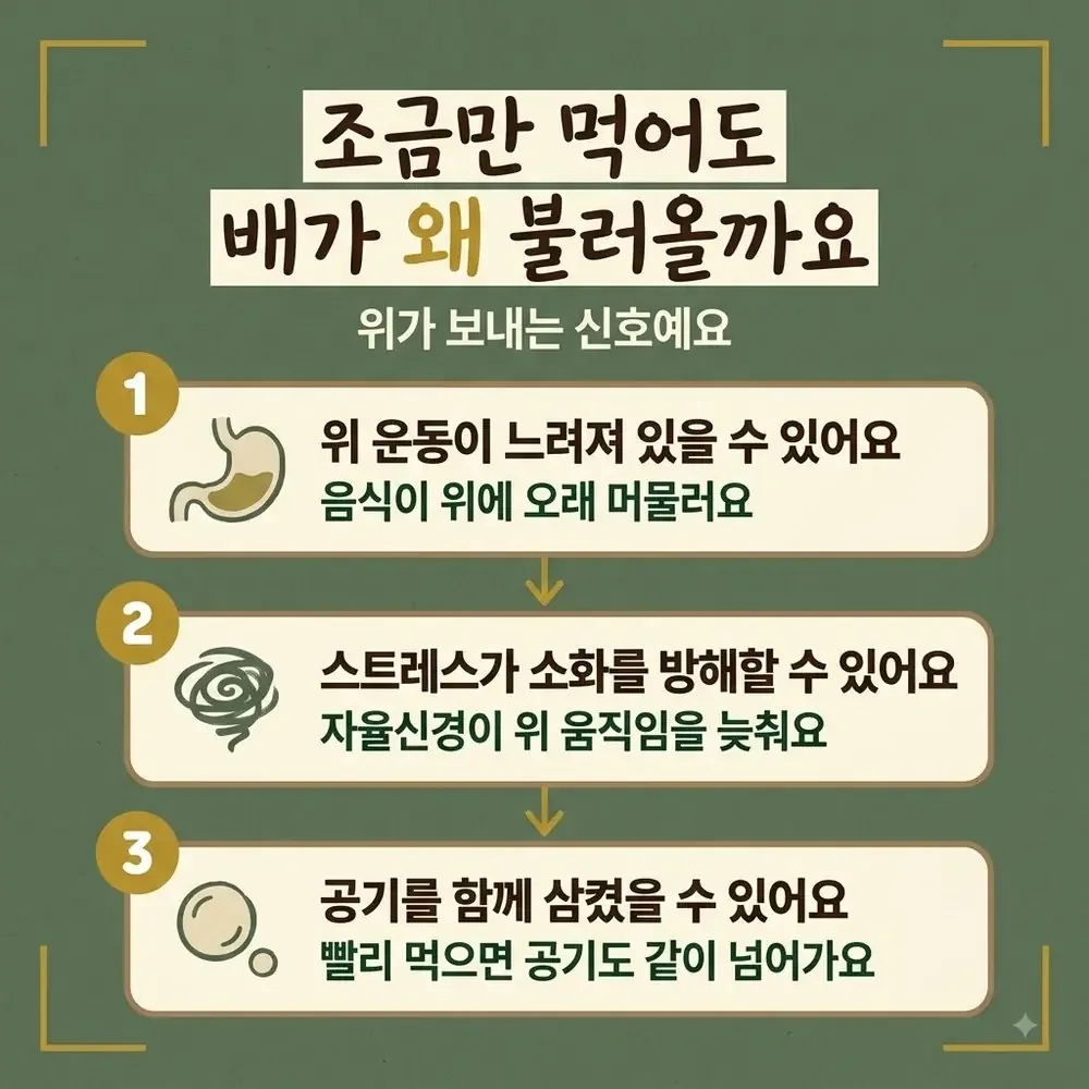 조기 포만감 상담 - 인천 송도 더율한의원