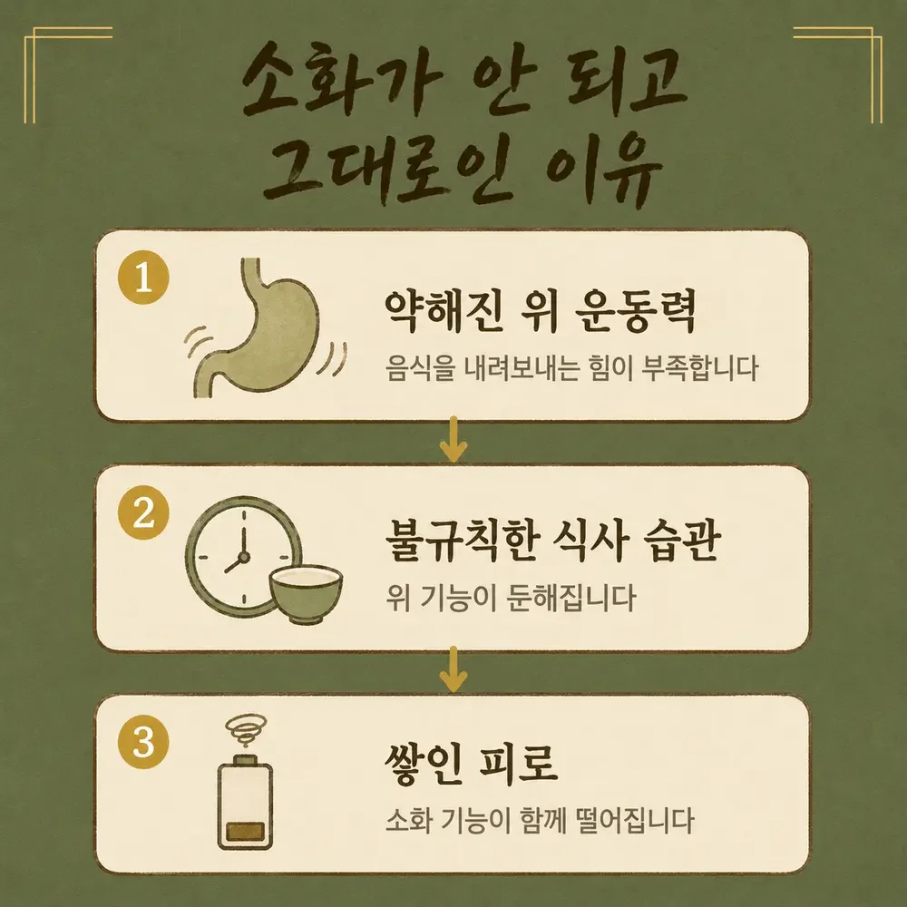 밤사이 소화 상담 - 인천 송도 더율한의원