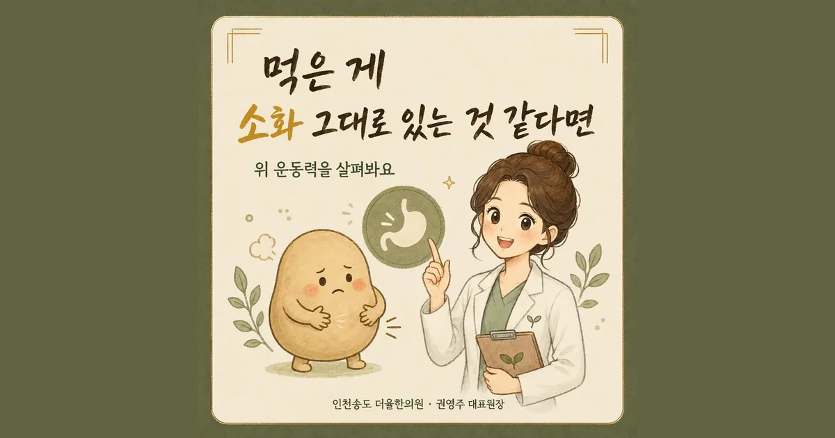밤사이 소화 한방치료 - 인천 송도 더율한의원