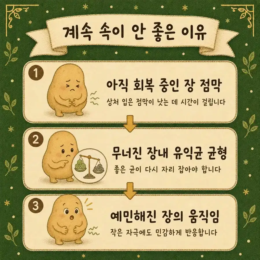 장염 후 소화불량 한방치료 - 인천 송도 더율한의원