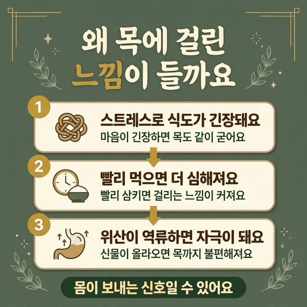 삼킬 때 걸리는 느낌 상담 - 인천 송도 더율한의원