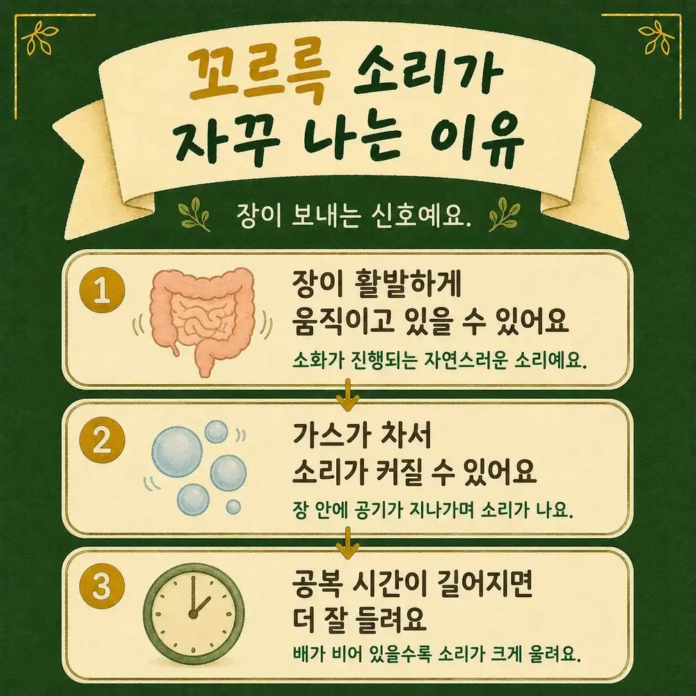 배에서 소리가 나는 증상 한방치료 - 인천 송도 더율한의원