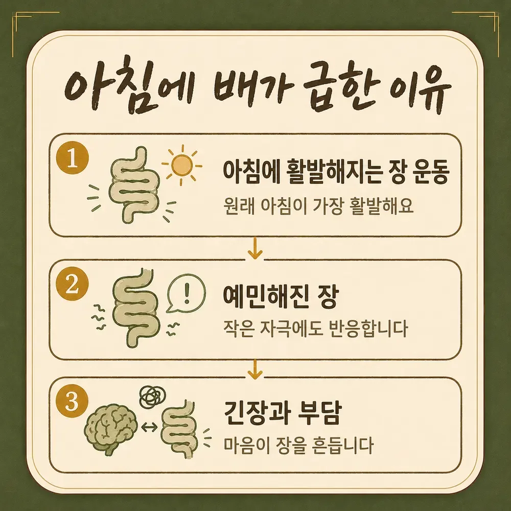아침 설사 상담 - 인천 송도 더율한의원