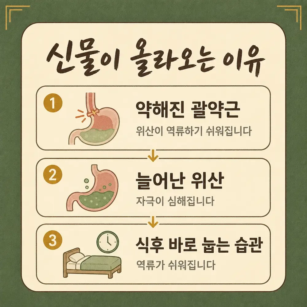 입안 신맛 상담 - 인천 송도 더율한의원