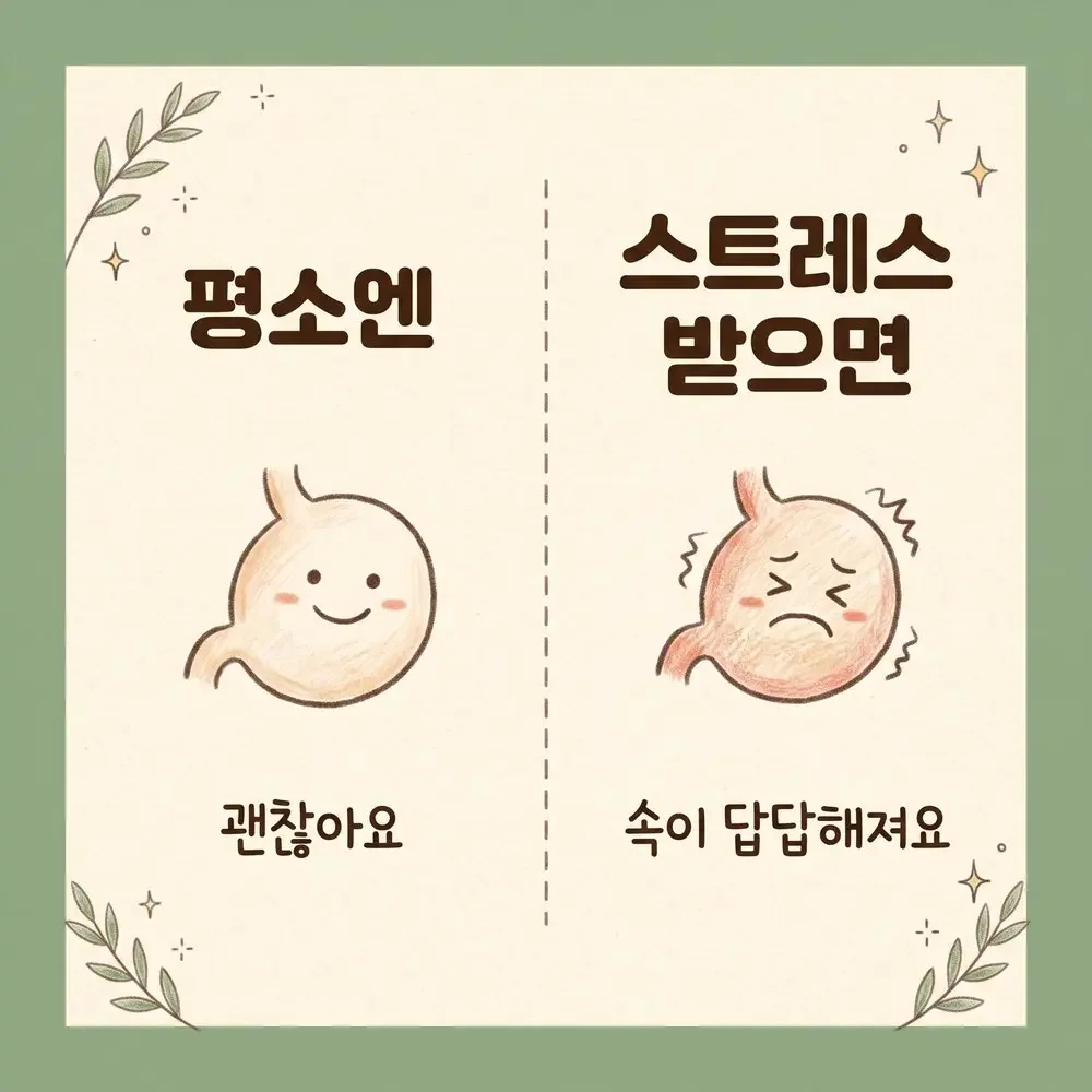 신경성 위통 상담 - 인천 송도 더율한의원