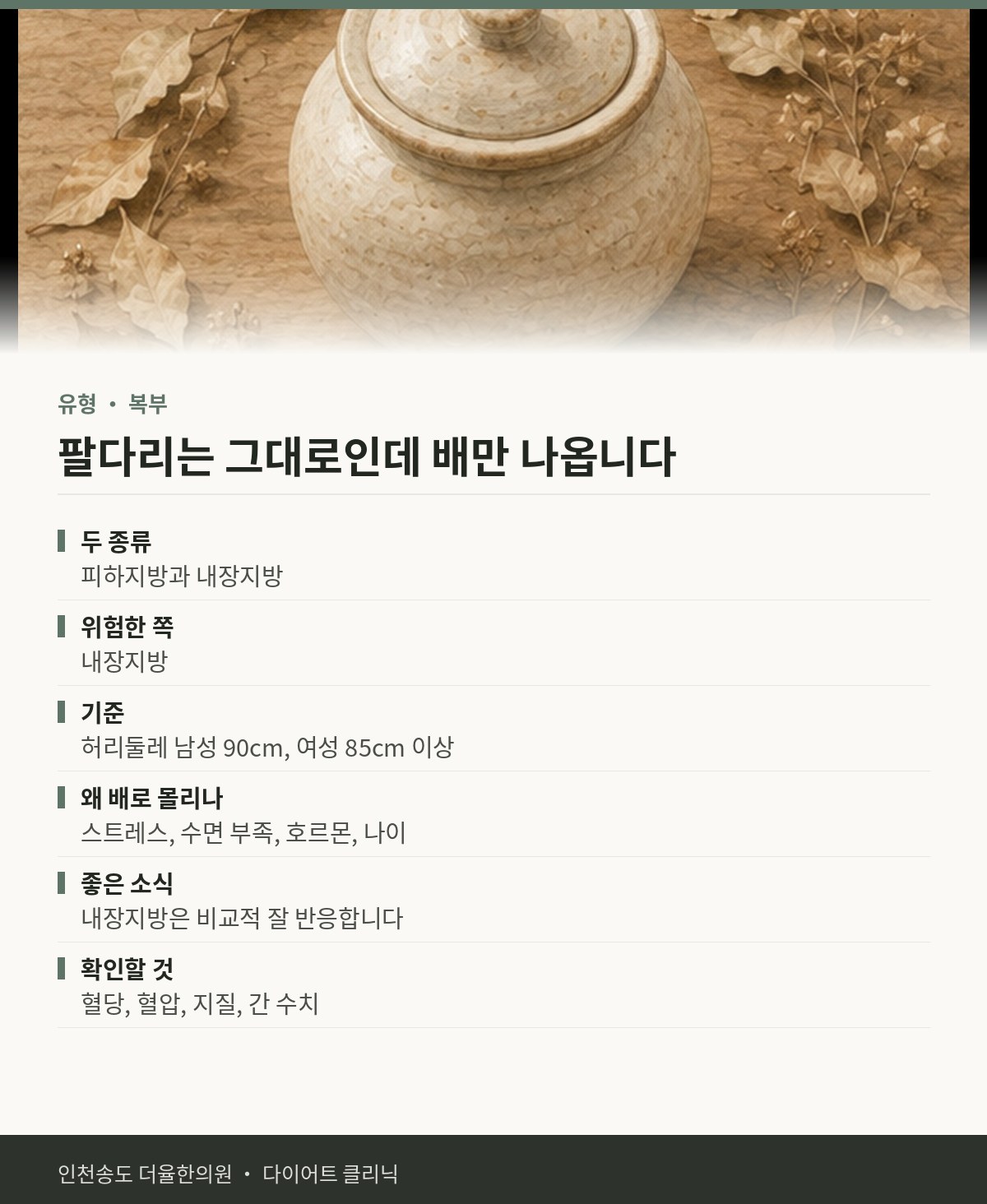 팔다리는 그대로인데 배만 나옵니다 핵심 정리