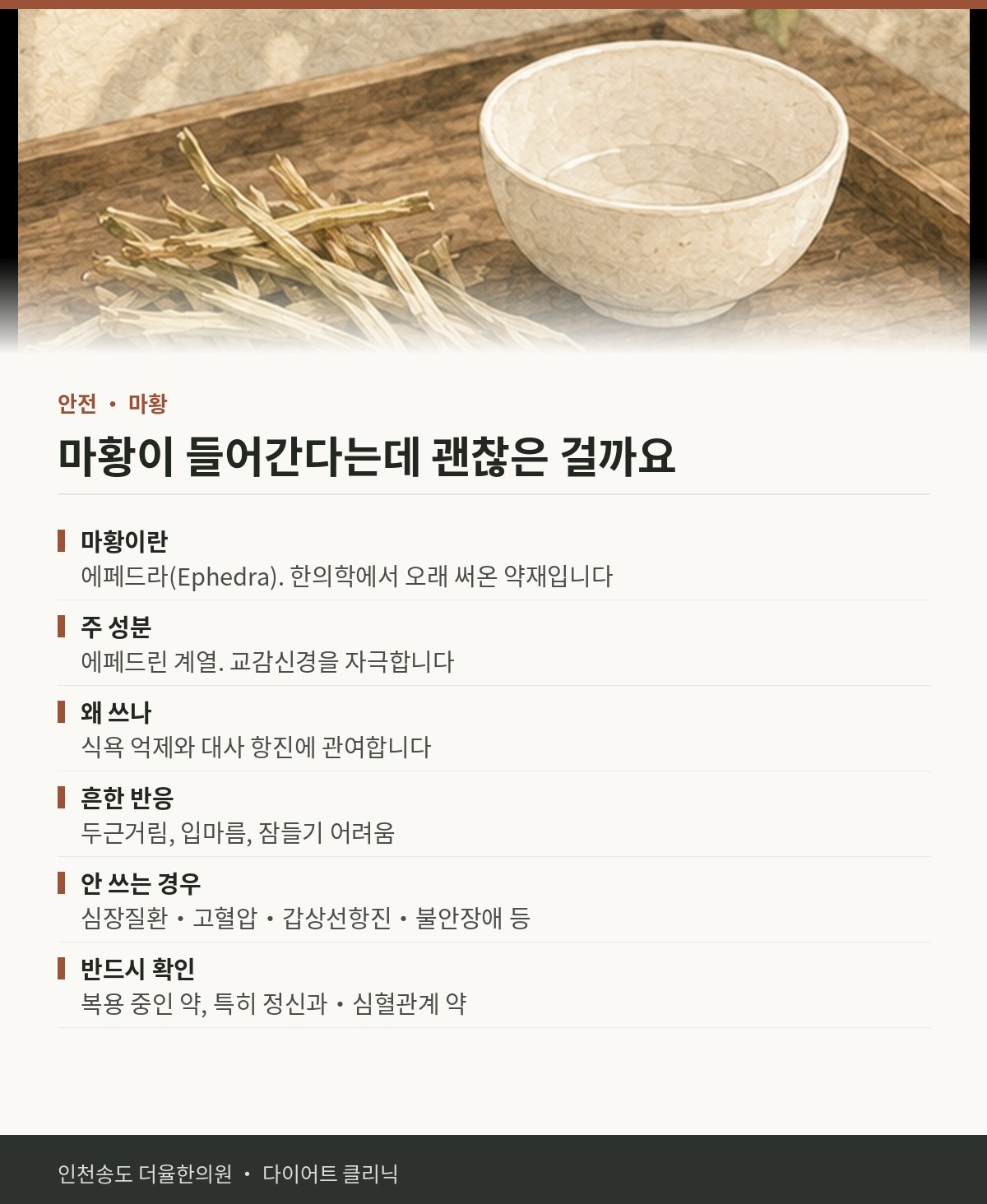 마황이 들어간다는데 괜찮은 걸까요 핵심 정리